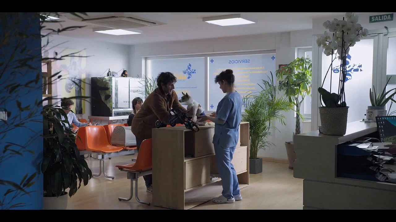 The Neighbor (El Vecino) - Se1 - Ep05 HD Watch