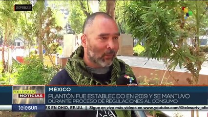 Policía de la Ciudad de México retiró campamento cannábico instalado junto al Senado de República