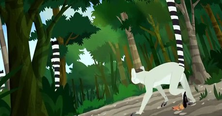 Wild Kratts Wild Kratts S03 E020 – Lemur Stink Fight