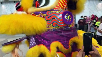 Beautiful Lion Dance - CNY Celebration 2023 _#cny2023 #liondance #traditionaldance #live #livestream