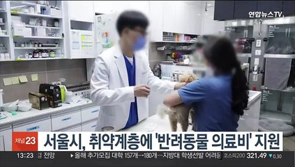 서울시, 취약계층에 반려동물 의료비 최대 40만원 지원
