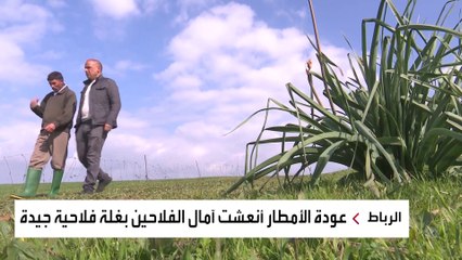 تقرير- عادل الزبيري من الرباط ووليد عبدالله من تونس