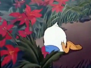 Donald Duck Donald Duck E085 Home Defense