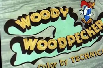 Woody Woodpecker Woody Woodpecker E110 – Franken-Stymied