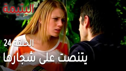 مسلسل اليتيمة الحلقة 24 - هل تسمع ساهيناز كلام أمها؟