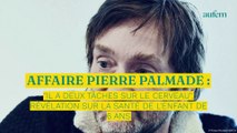 Affaire Pierre Palmade : 