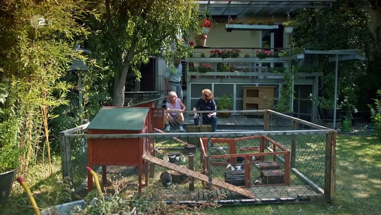 SOKO Wismar: Das befreite Kaninchen | Folge 21/Staffel 19