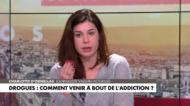 Charlotte D'Ornellas : «La consommation de drogues que vous appelez dures commence avec celle de drogues dites douces »