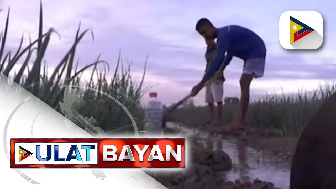 ORION o Optimization and Resiliency in the Onion Industry Network, tugon ni PBBM sa problema sa industriya ng sibuyas