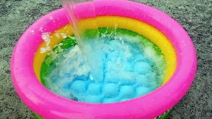 Colorful fish. Fish video.