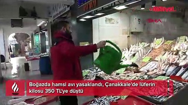 Boğazda hamsi avı yasaklandı, Çanakkale'de lüferin kilosu 350 TL'ye düştü