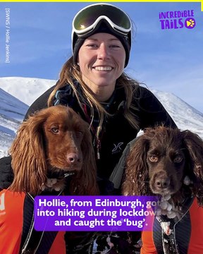 Paws and Trails: Two Dogs and Their Owner Enjoying Hiking Adventures Together!