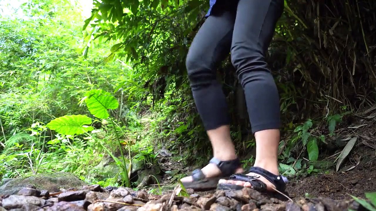 Solo Camping & Bushcraft in the Forest - Living Off Grid | Free Bushcraft Ep.14