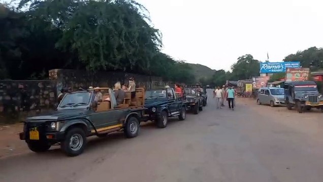रणथम्भौर: पार्क भ्रमण के दौरान गाइड व चालकों ने तोड़े नियम तो गिरेगी गाज