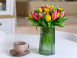 Bunte Frühlingsboten: So bleiben Tulpen lange frisch
