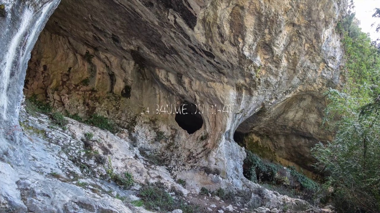 Baume du chat