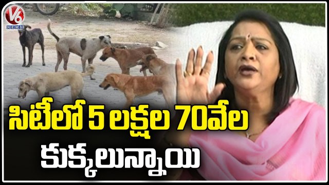 GHMC Mayor Gadwal Vijayalakshmi Speaks On Street Dogs Population In City | V6 News (1)