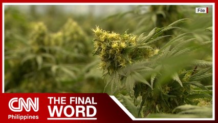 Ex-House Speaker batting for decriminalization of marijuana | The Final Word