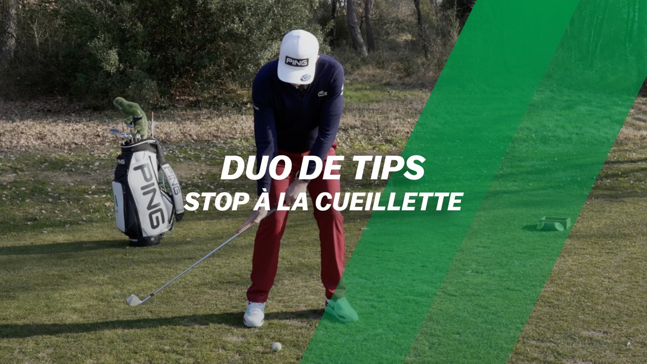 Duo de tips : Stop à la cueillette