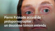 Pierre Palmade accusé de pédopornographie : un deuxième témoin entendu