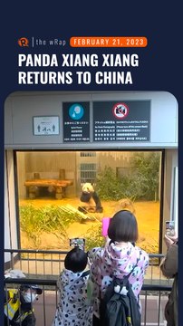 Tears and photos as Japan sends giant panda ‘home’ to China