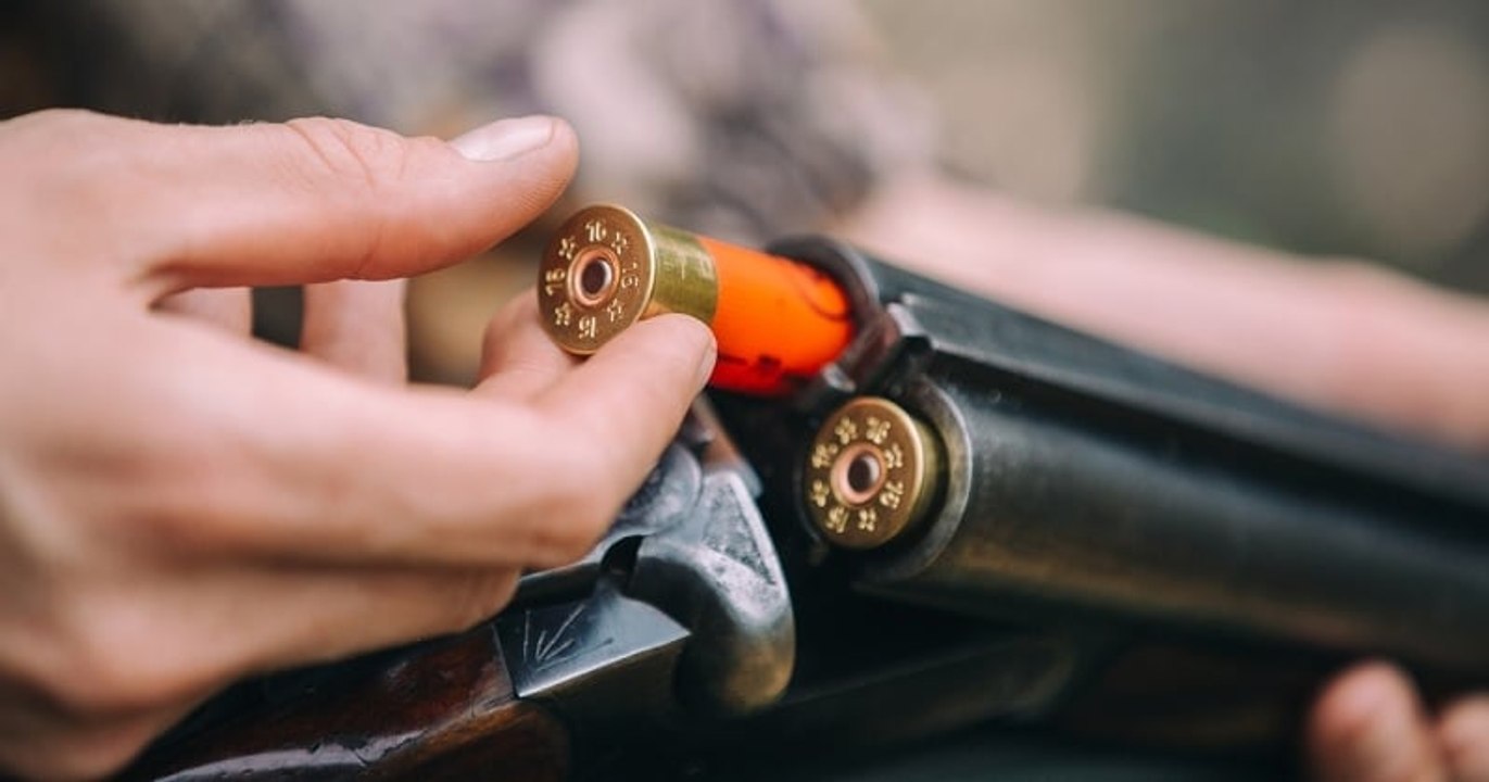 Lors d'une battue dans le Pas-de-Calais, un chasseur a été retrouvé mort d'une balle en plein coeur