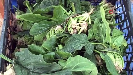 Semt pazarlarında fiyatlar resmen fırladı! Yüzde 150'ye varan artış