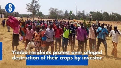 Yimbo residents protest over alleged destruction of their crops by investor