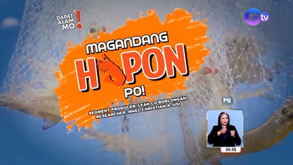 Paano nga ba pinararami ang mga hipon? | Dapat Alam Mo!