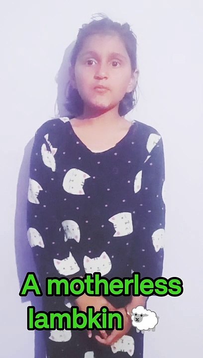 A poem on motherless lambkin।।kids poem