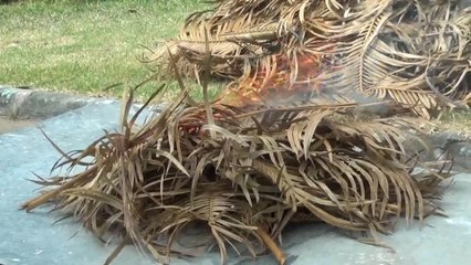 Pagsusunog ng palaspas at iba pang paghahanda para sa Ash Wednesday | Saksi