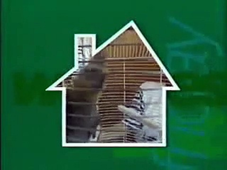 Animal Hospital theme
