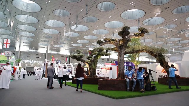 Agroalimentare, cresce l'export negli Emirati Arabi