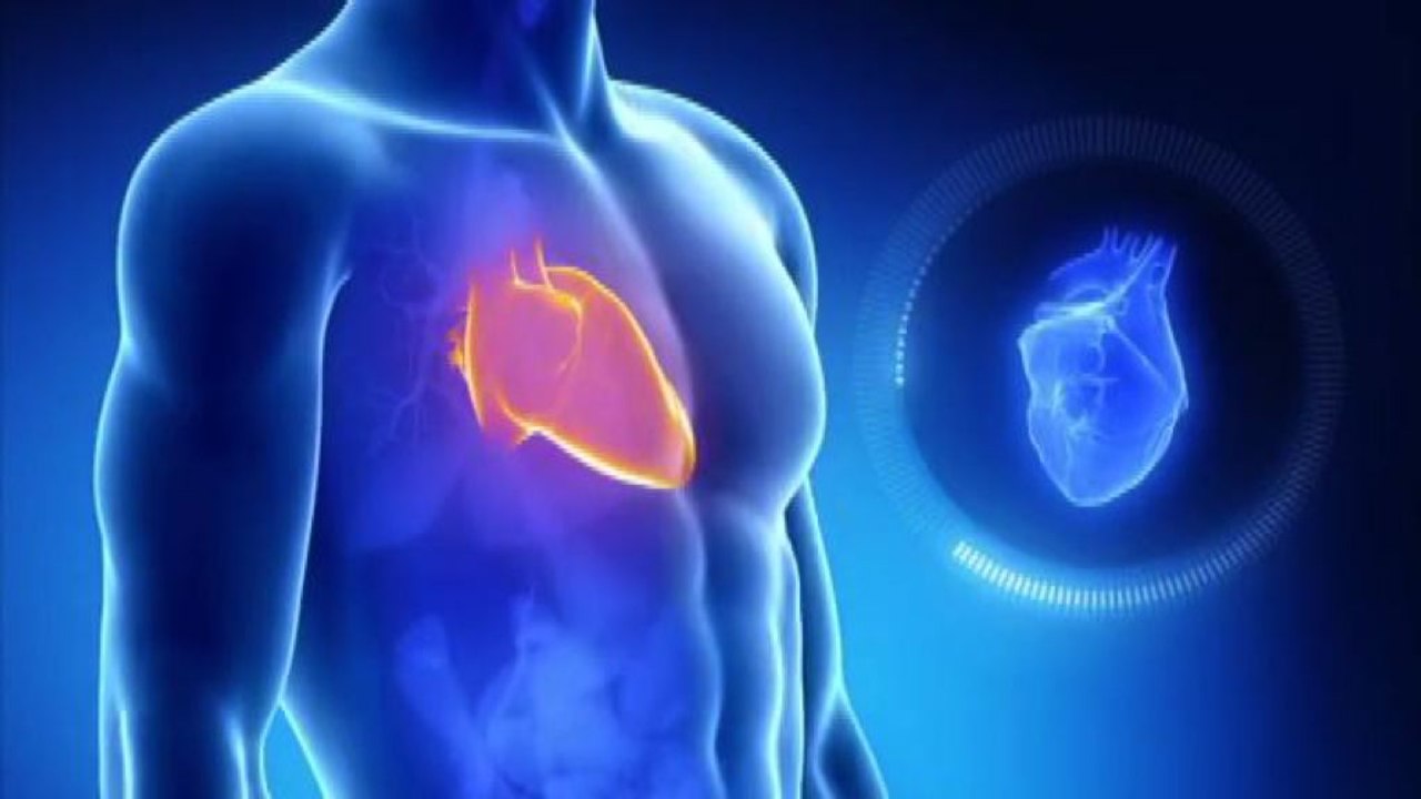 Malattie cardio cerebro e vascolari, un Paper d...