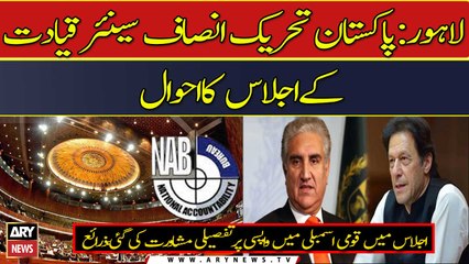 Pakistan Tehreek-e-Insaf senior leadership meeting - Complete details