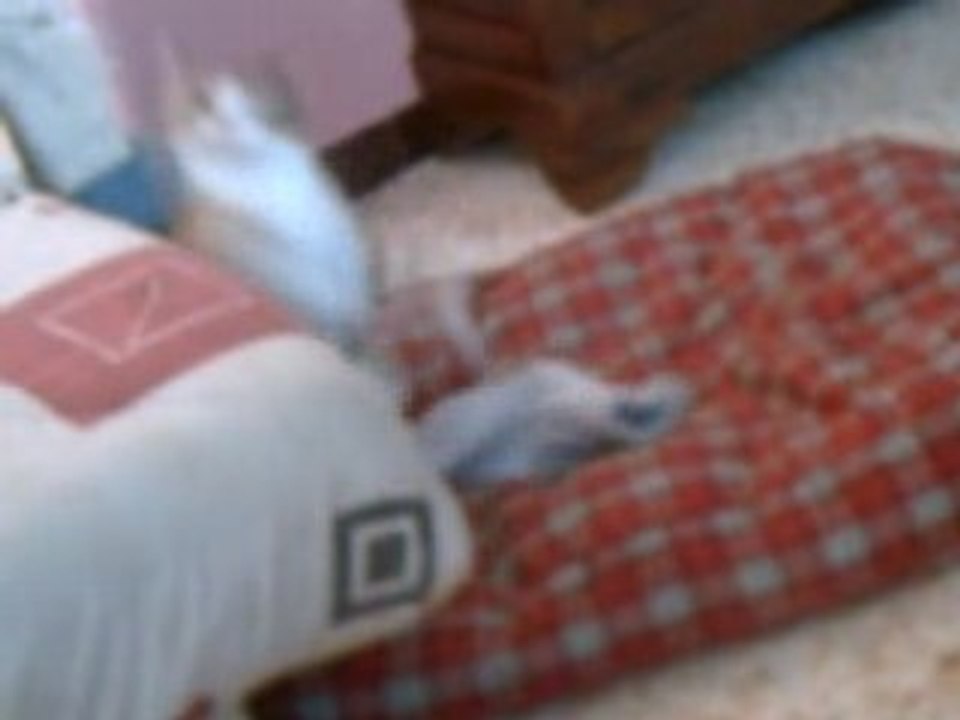 CLIP0001