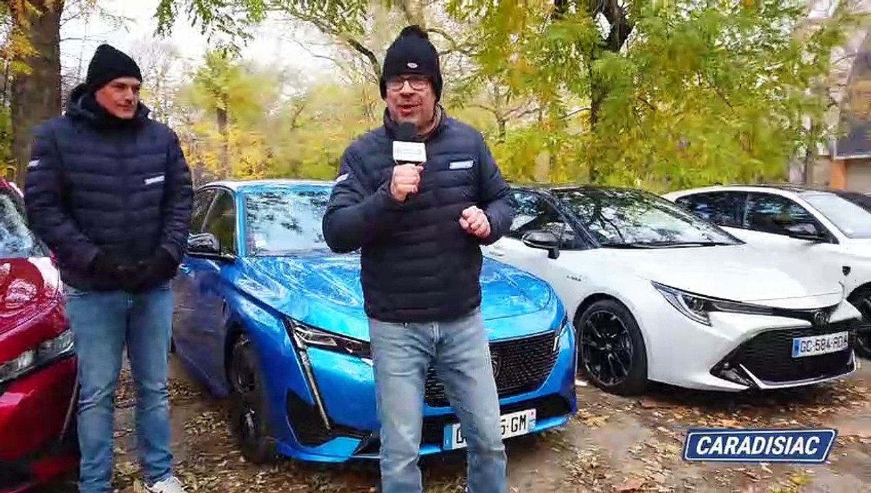 Essence, diesel, hybride, hybride rechargeable ou électrique, quelle est la meilleure carburation pour faire 1 000 km ?