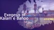 Exegesis of Kalam e Bahoo | شرح ابیاتِ باھُوؒ | Sultan-ul-Ashiqeen | Urdu/Hindi | English Subtitles Part 21