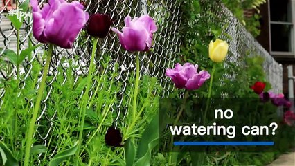 Know These Gardening Hacks as Springtime Is Right Around the Corner