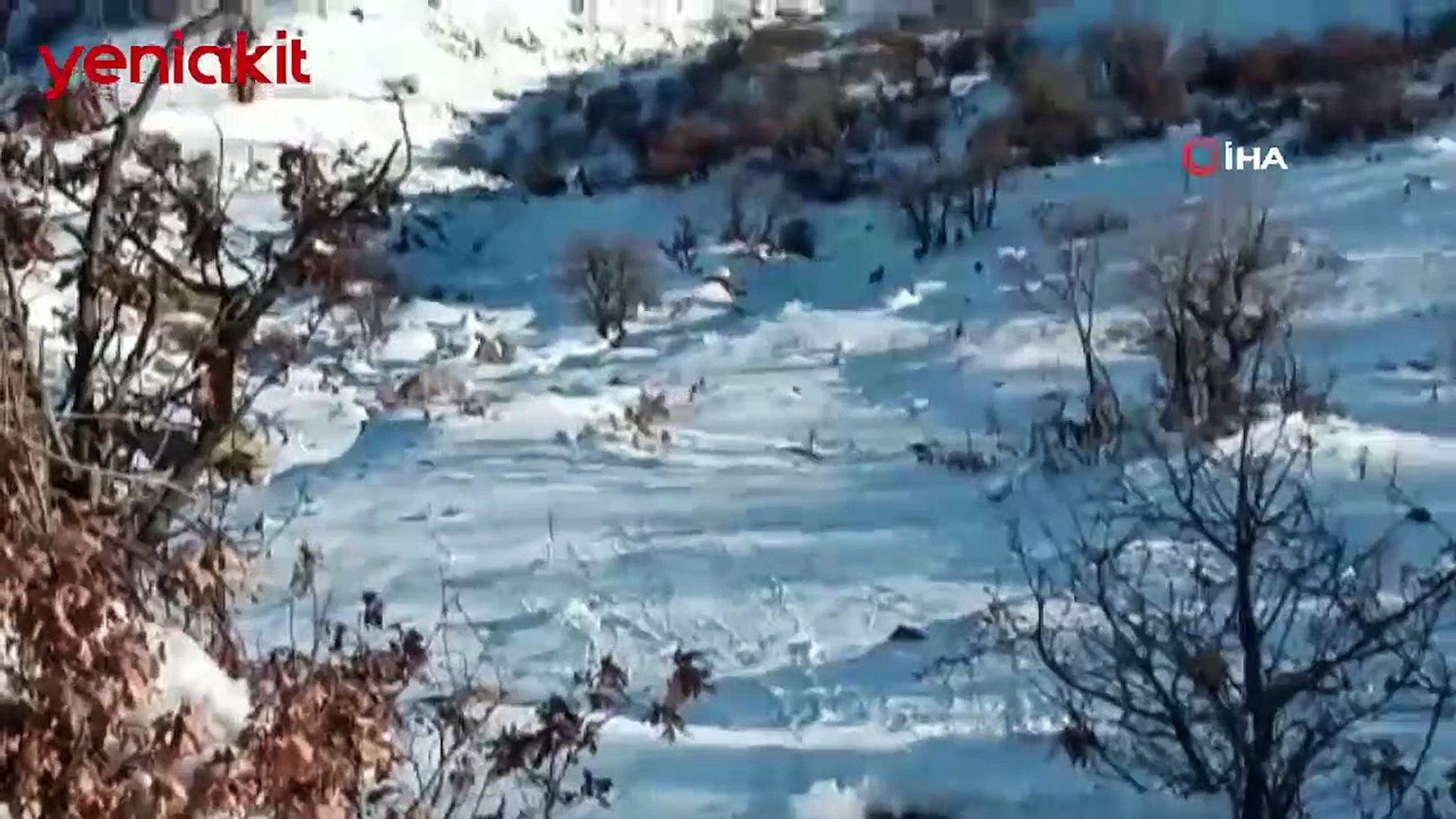 Deprem yaban keçilerini de ürküttü