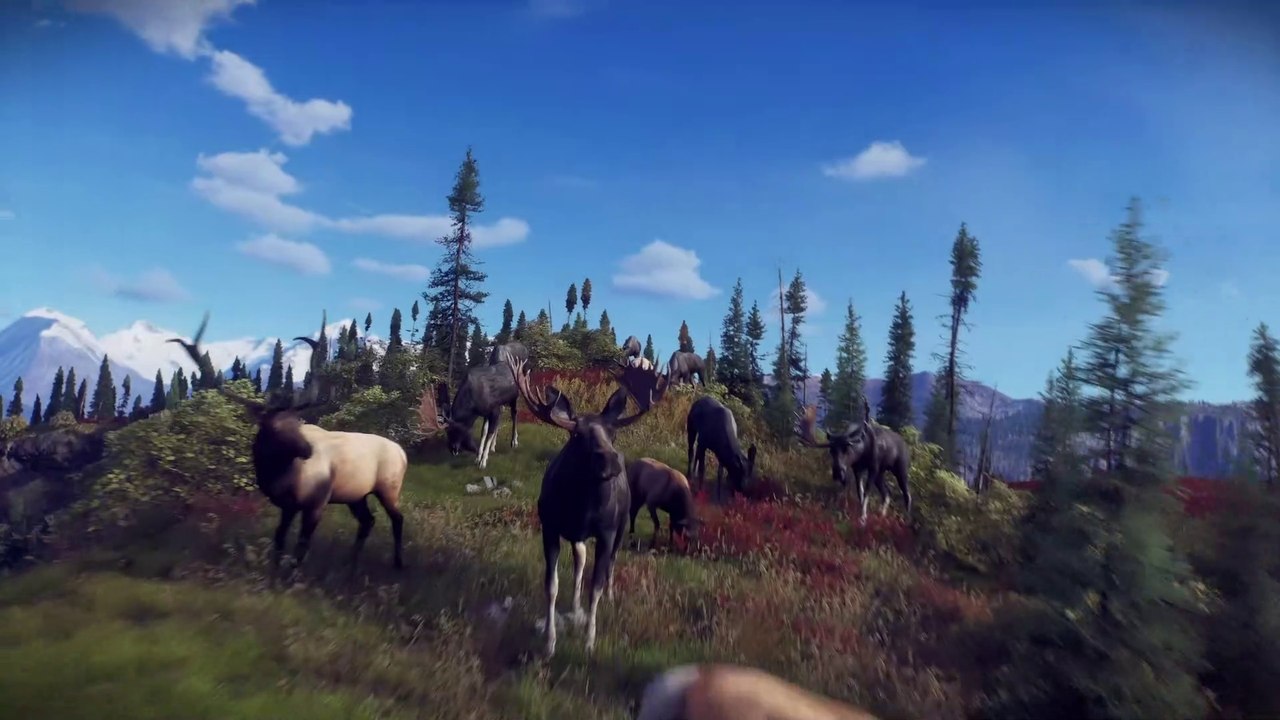 Way of the Hunter | Aurora Shores DLC Release Date Trailer (2023)