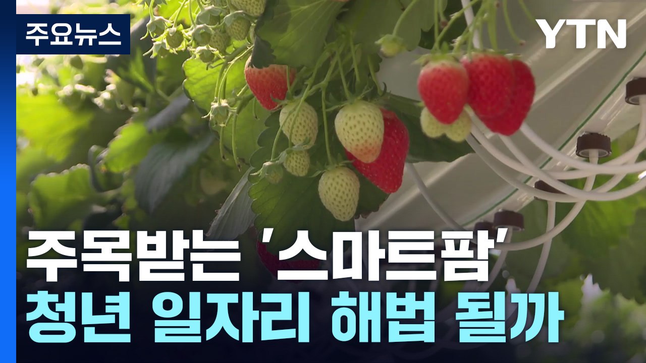 '스마트 팜', 지역 소멸 위기·청년 일자리 문제의 해법 될까 / YTN