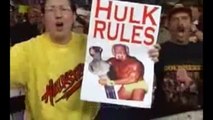 Hulk Hogan vs STING