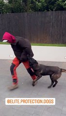 El adiestramiento que le da a su perro el Dibu Martínez