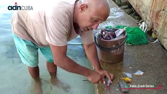 “Guardafrontera no deja pescar, todo es para ellos” Pescadores en Cuba.