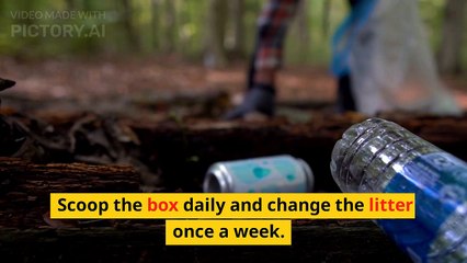 Fundamental Principles of Cat Care