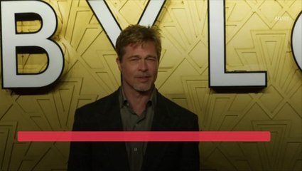 Shania Twain Plans To Do THIS With Brad Pitt