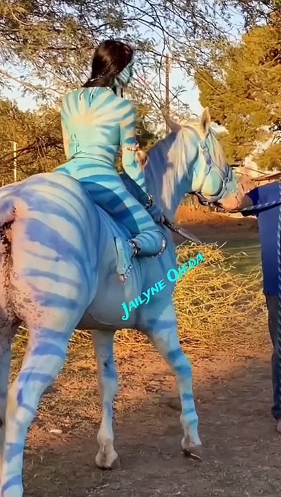 AVATAR HORS