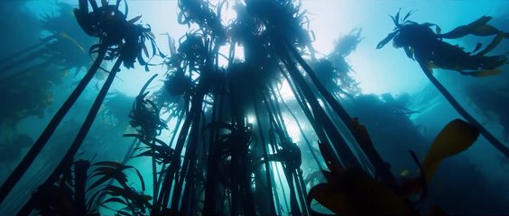 Les Gardiennes de la planète | movie | 2023 | Official Trailer