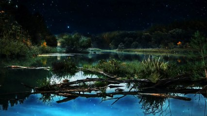 Relaxing by the Lake: Enjoying the Beauty of the Night with the Calming Sounds of Nature